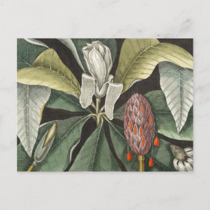  botanische illustratie briefkaart