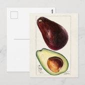  botanische illustratie briefkaart (Voorkant / Achterkant)