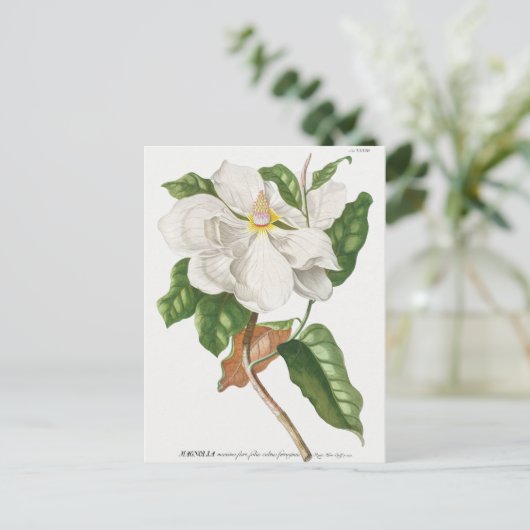 botanische illustratie briefkaart (Staand voorkant)