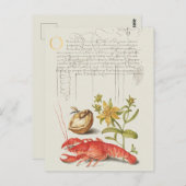  botanische illustratie briefkaart (Voorkant / Achterkant)