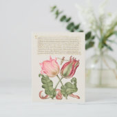 botanische illustratie briefkaart (Staand voorkant)