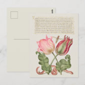 botanische illustratie briefkaart (Voorkant / Achterkant)