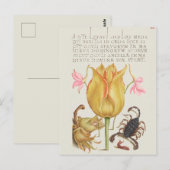 botanische illustratie briefkaart (Voorkant / Achterkant)