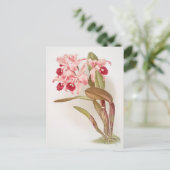  botanische illustratie briefkaart (Staand voorkant)