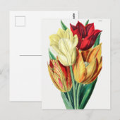  botanische illustratie briefkaart (Voorkant / Achterkant)