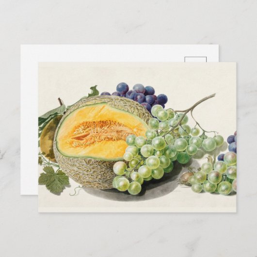 botanische illustratie briefkaart (Voorkant / Achterkant)