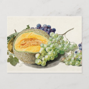  botanische illustratie briefkaart