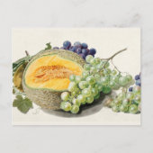 botanische illustratie briefkaart (Voorkant)