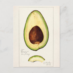  botanische illustratie briefkaart