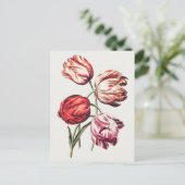  botanische illustratie briefkaart (Staand voorkant)