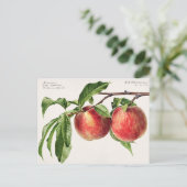  botanische illustratie briefkaart (Staand voorkant)