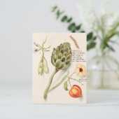 botanische illustratie briefkaart (Staand voorkant)