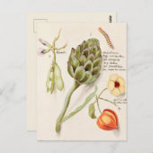 botanische illustratie briefkaart (Voorkant / Achterkant)