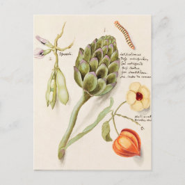  botanische illustratie briefkaart