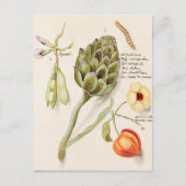 botanische illustratie briefkaart (Voorkant)