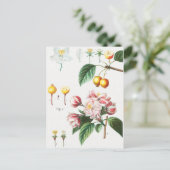  botanische illustratie briefkaart (Staand voorkant)