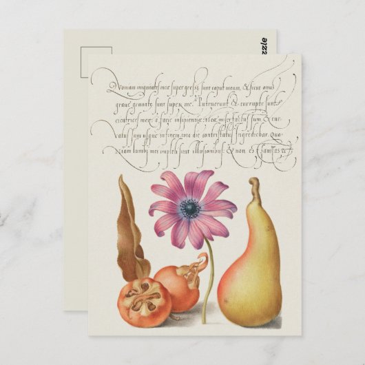  botanische illustratie briefkaart (Voorkant / Achterkant)