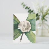  botanische illustratie briefkaart (Staand voorkant)