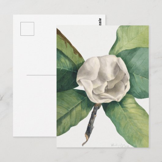botanische illustratie briefkaart (Voorkant / Achterkant)