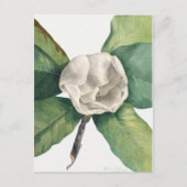 botanische illustratie briefkaart (Voorkant)