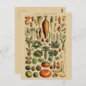  botanische illustratie briefkaart (Voorkant / Achterkant)