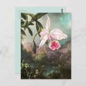  botanische illustratie briefkaart (Voorkant / Achterkant)