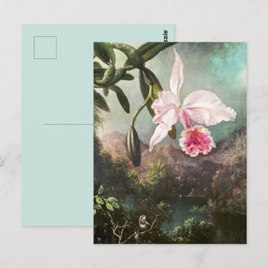  botanische illustratie briefkaart (Voorkant / Achterkant)