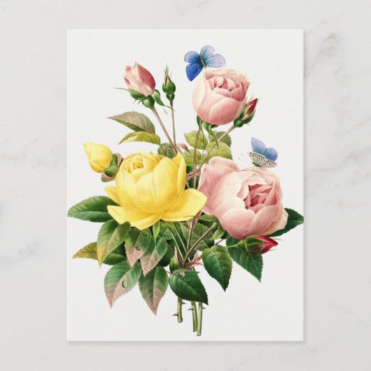  botanische illustratie briefkaart (Voorkant)