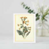 Botanische illustratie briefkaart (Staand voorkant)