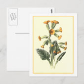 Botanische illustratie briefkaart (Voorkant / Achterkant)