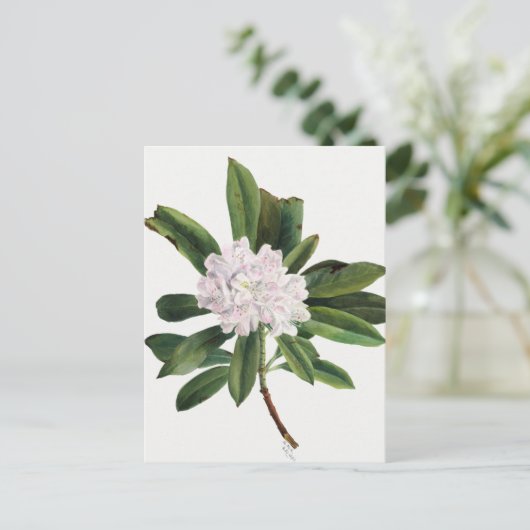 botanische illustratie briefkaart (Staand voorkant)