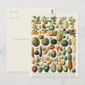  botanische illustratie briefkaart (Voorkant / Achterkant)