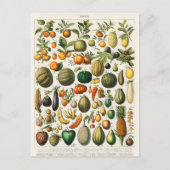  botanische illustratie briefkaart (Voorkant)
