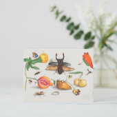 botanische illustratie briefkaart (Staand voorkant)