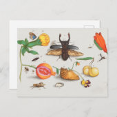 botanische illustratie briefkaart (Voorkant / Achterkant)