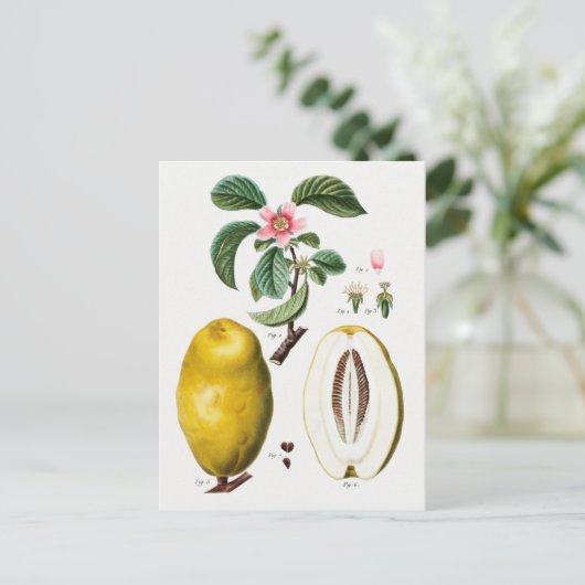  botanische illustratie briefkaart (Staand voorkant)