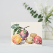  botanische illustratie briefkaart (Staand voorkant)