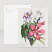  botanische illustratie briefkaart (Voorkant / Achterkant)