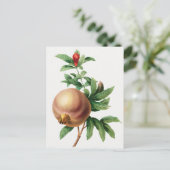 botanische illustratie briefkaart (Staand voorkant)