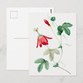 botanische illustratie briefkaart (Voorkant / Achterkant)
