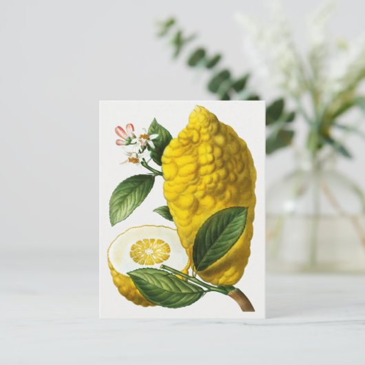  botanische illustratie briefkaart (Staand voorkant)