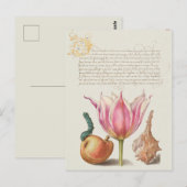  botanische illustratie briefkaart (Voorkant / Achterkant)