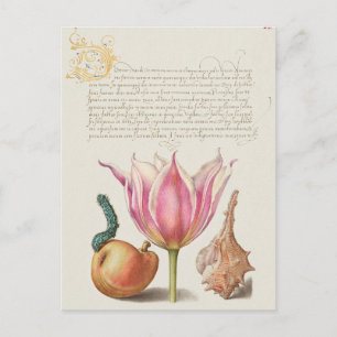  botanische illustratie briefkaart
