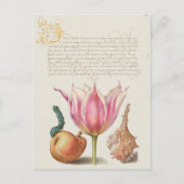botanische illustratie briefkaart (Voorkant)