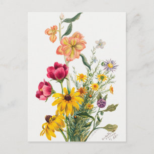 botanische illustratie briefkaart