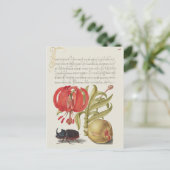 botanische illustratie briefkaart (Staand voorkant)