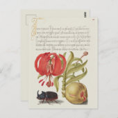 botanische illustratie briefkaart (Voorkant / Achterkant)