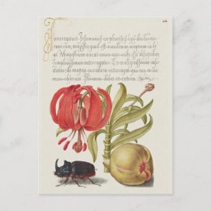  botanische illustratie briefkaart