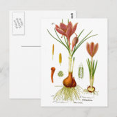 botanische illustratie briefkaart (Voorkant / Achterkant)