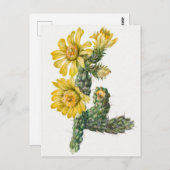  botanische illustratie briefkaart (Voorkant / Achterkant)